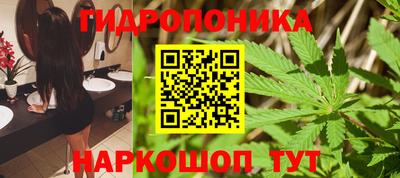 шишки Краснокаменск