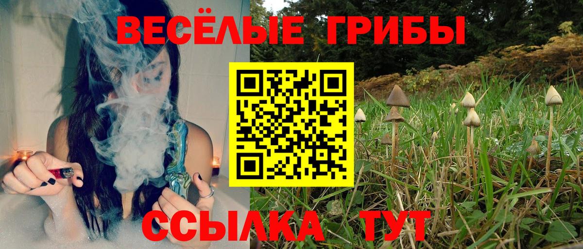 Галлюциногенные грибы ЛСД Удомля