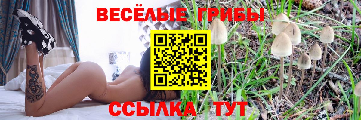 Удомля  Псилоцибиновые грибы прущие грибы  Вход с VPN 